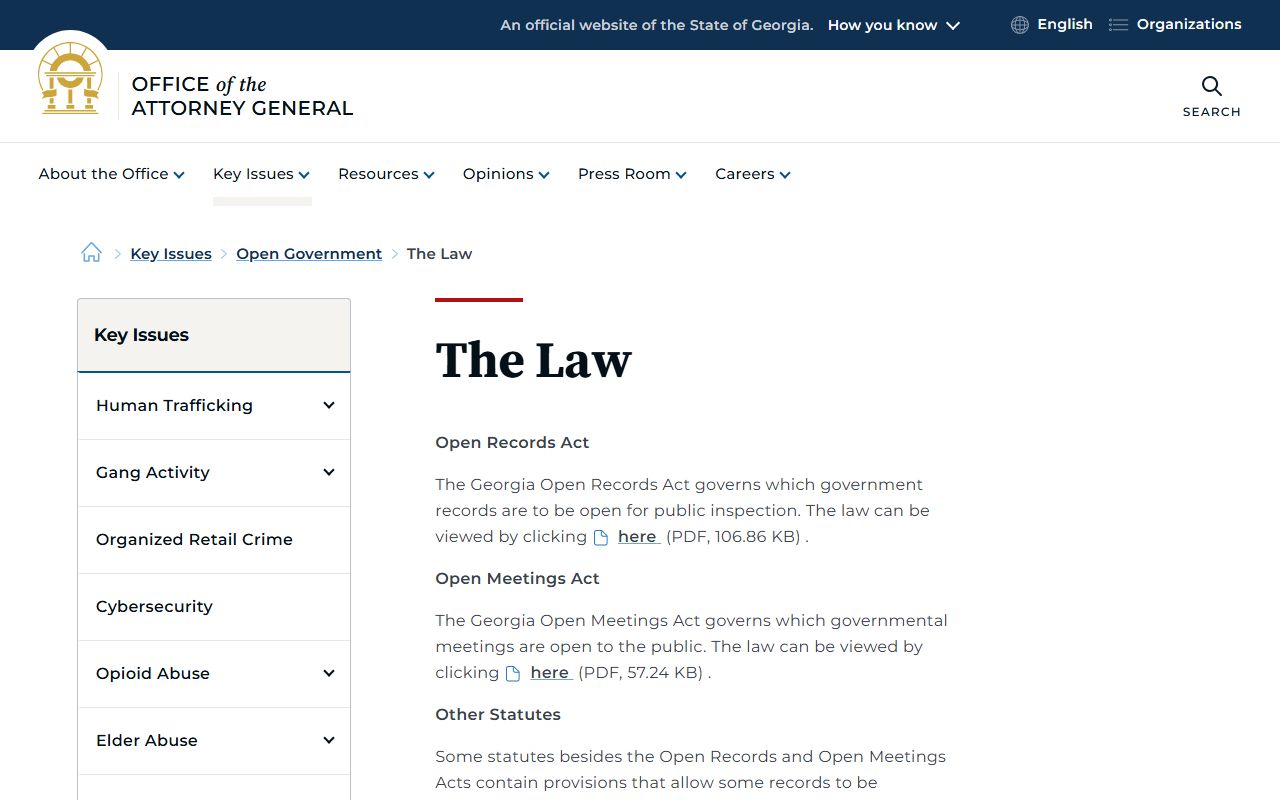 Liberty County court records Georgia open government law