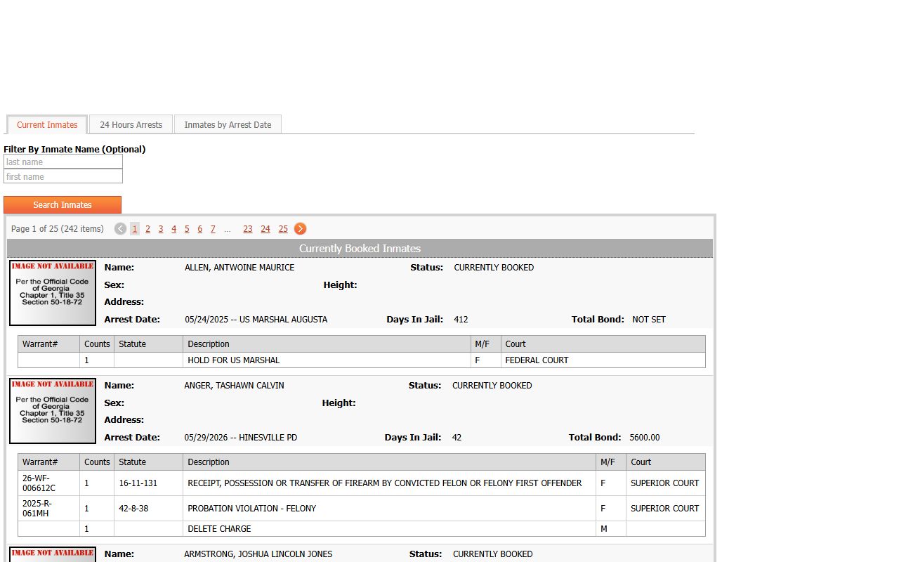 Liberty County inmate records current jail roster search fields and charge rows